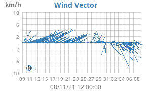 Wind Vector