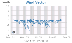Wind Vector